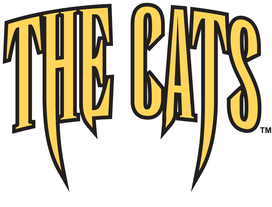 Western Carolina Catamounts 1996-2003 Wordmark Logo DIY iron on transfer (heat transfer)